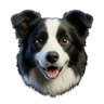 Torik