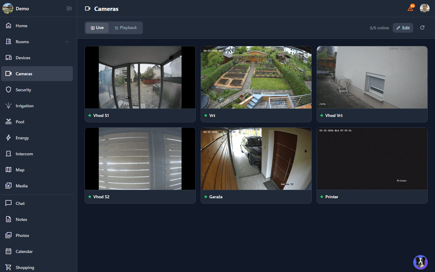 Camera grid NVR